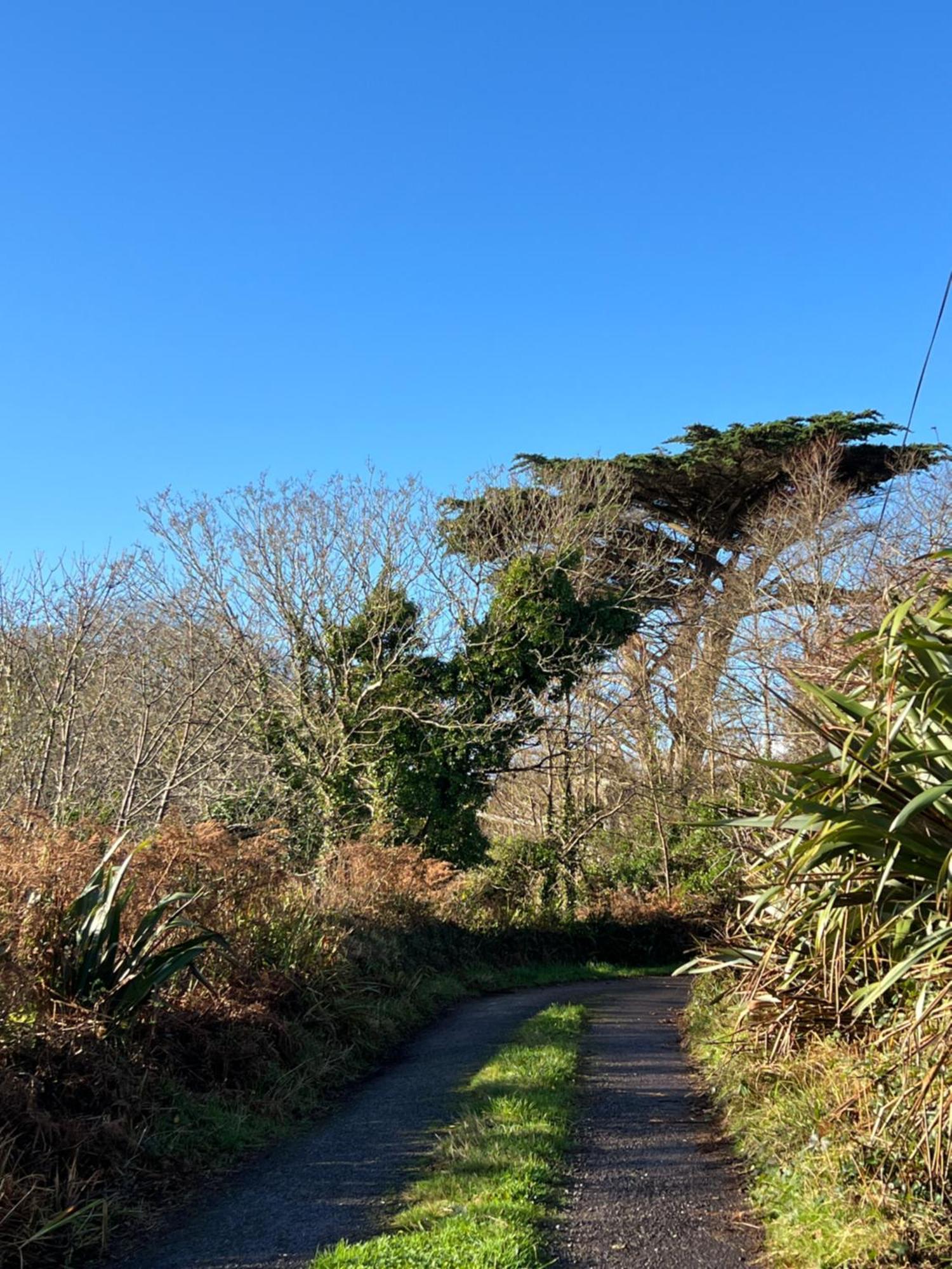 Ancaire Cottage Kilbronogue. Schull Εξωτερικό φωτογραφία