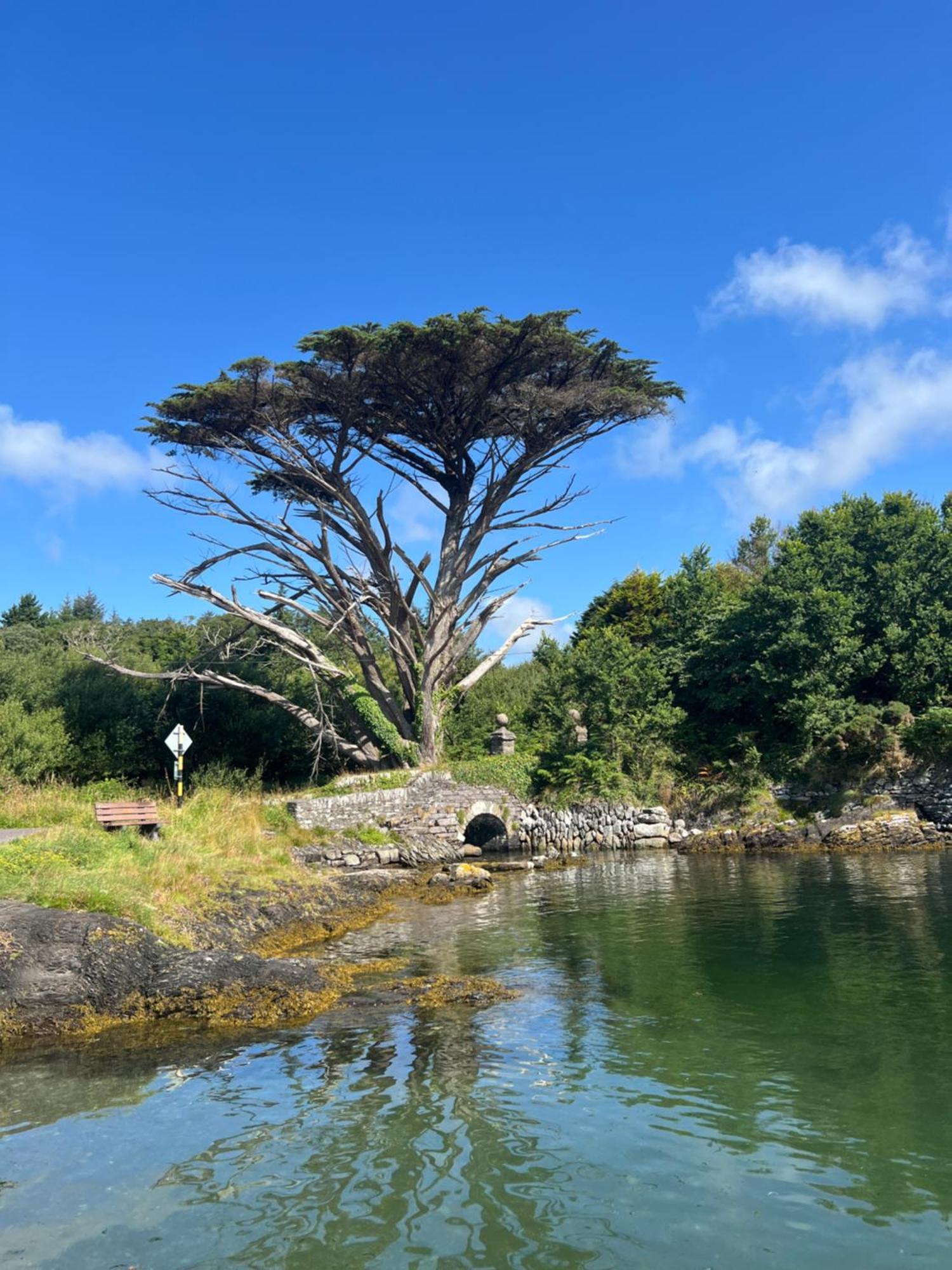 Ancaire Cottage Kilbronogue. Schull Εξωτερικό φωτογραφία